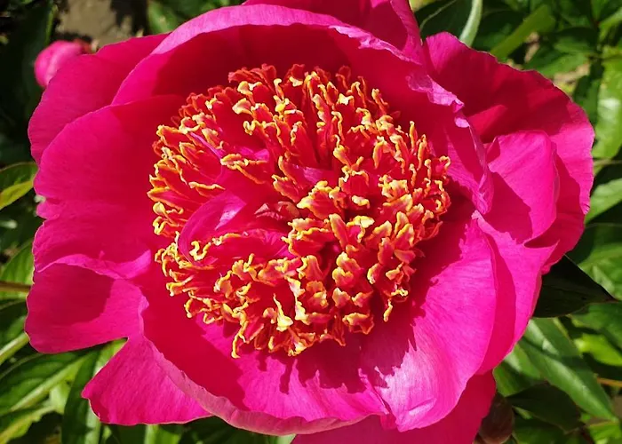 Nyaraló Bayeusaine, Maison Centre Historique - 3 Bayeux