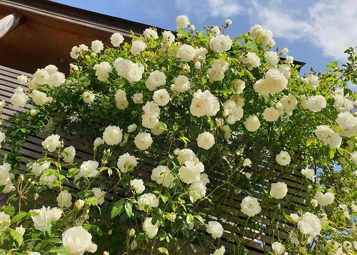 Holiday home Bayeusaine, Maison Centre Historique - 3 *