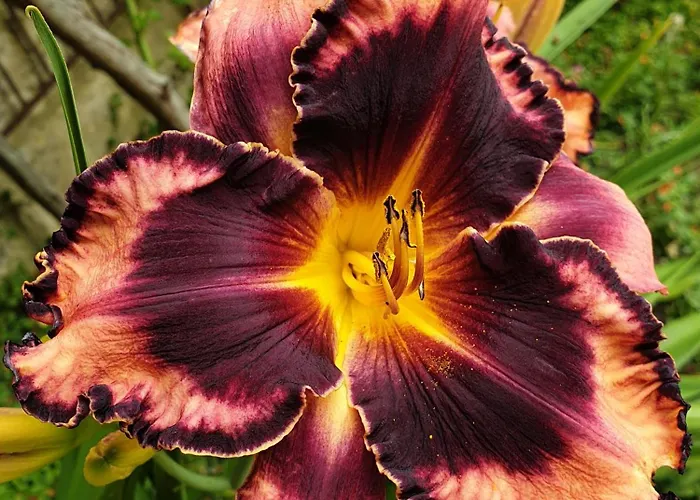 Bayeusaine, Maison Centre Historique - 3 *